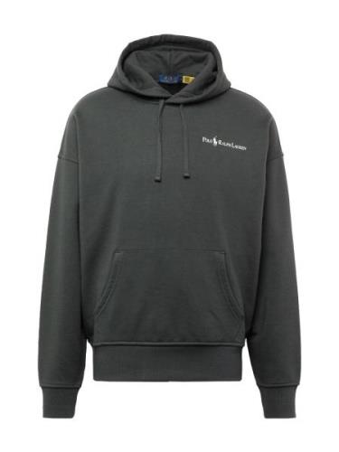 Polo Ralph Lauren Sweatshirt  røggrå / mørkegrå / khaki