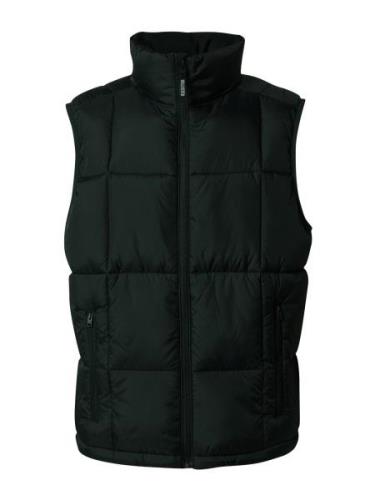 HOLLISTER Vest  sort