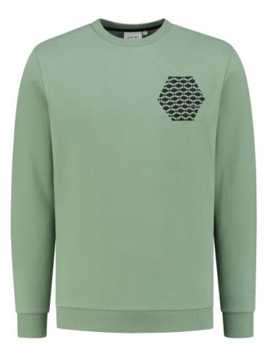 Shiwi Sweatshirt  lysegrøn / sort