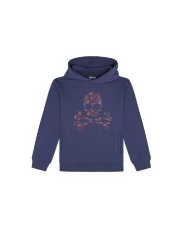 Scalpers Sweatshirt  lysviolet / violetblå