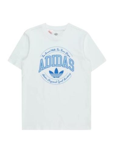 ADIDAS ORIGINALS Shirts  lyseblå / offwhite
