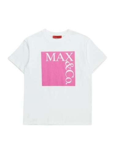 MAX&Co. Bluser & t-shirts  pink / hvid