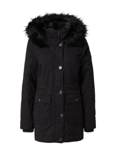 HOLLISTER Vinterparka  sort