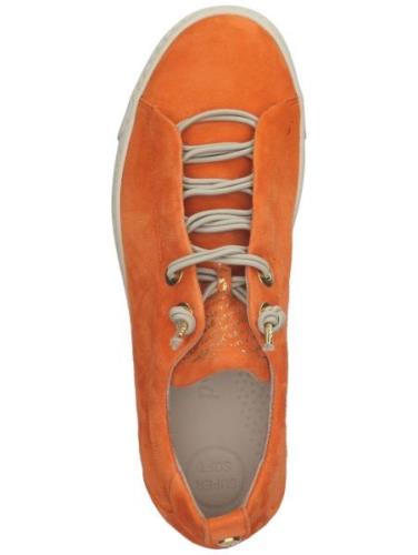 Paul Green Sneaker low  kit / orange
