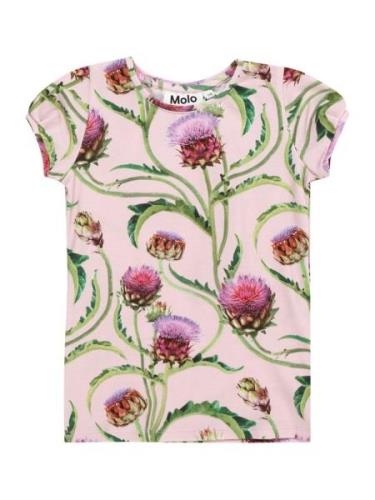 Molo Bluser & t-shirts 'Rimona'  kastaniebrun / kiwi / lyserød / eosin