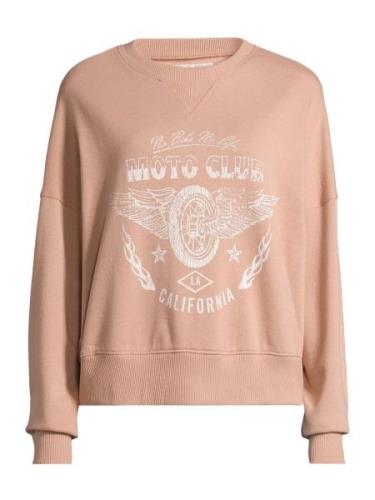 AÉROPOSTALE Sweatshirt  lysebrun / hvid