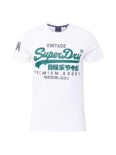 Superdry Bluser & t-shirts  lyseblå / jade / hvid