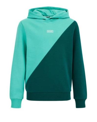 WE Fashion Sweatshirt  grøn / hvid