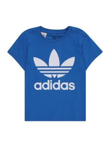 ADIDAS ORIGINALS Shirts 'TREFOIL'  blå / hvid