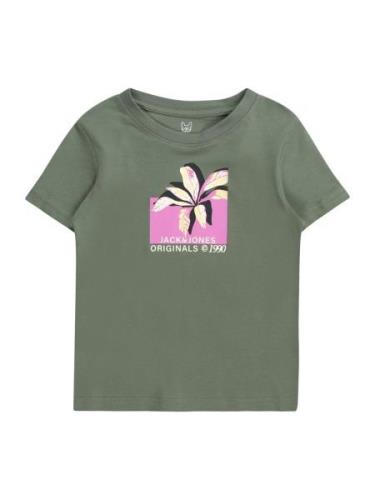 Jack & Jones Junior Shirts 'TAMPA'  mørkegrøn / orkidee / sort / hvid