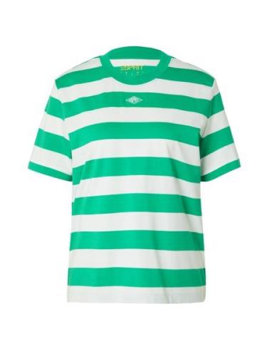 ESPRIT Shirts  grøn / hvid