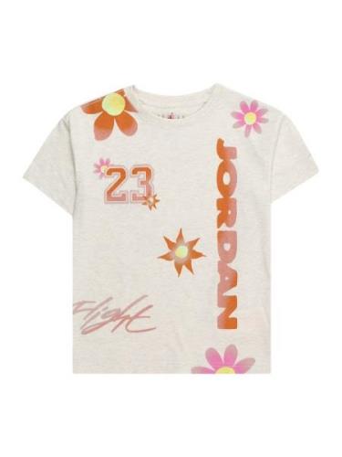 Jordan Bluser & t-shirts 'DELORIS'  lysegrå