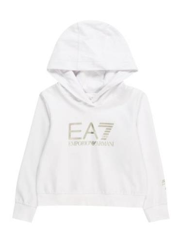 EA7 Emporio Armani Sweatshirt  guld / hvid