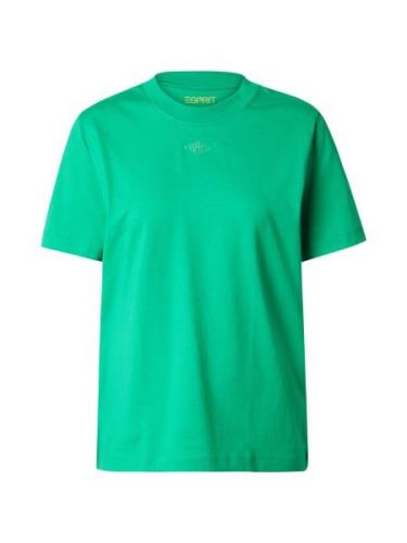 ESPRIT Shirts  grøn / lysegrøn