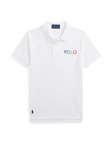 Polo Ralph Lauren Shirts  blå / grøn / rød / hvid