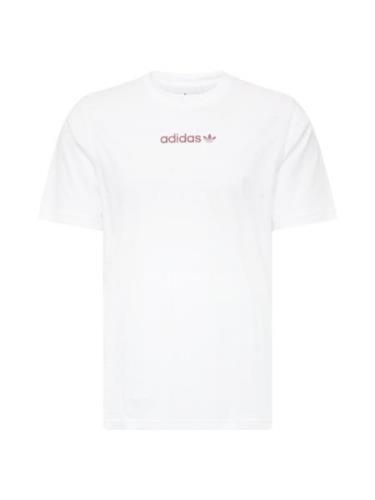 ADIDAS ORIGINALS Bluser & t-shirts  cyclam / hvid