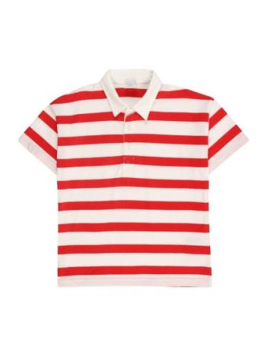 Lindex Shirts 'Rugger'  rød / hvid