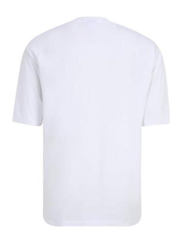 FILA Bluser & t-shirts 'LIBEREC'  blå / rød / hvid