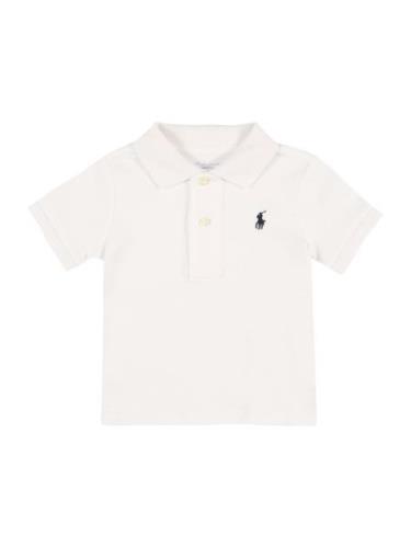 Polo Ralph Lauren Shirts  sort / hvid