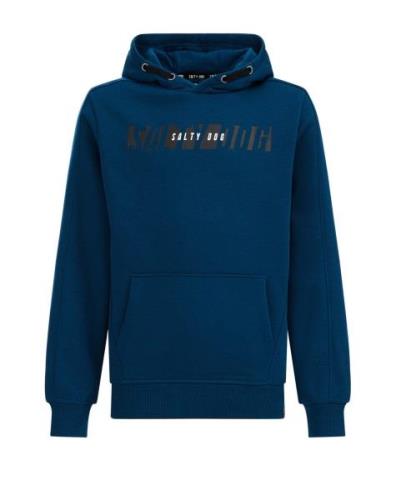 WE Fashion Sweatshirt  grå / petroleum / hvid