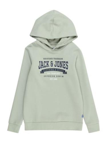 Jack & Jones Junior Sweatshirt  navy / pastelgrøn / offwhite