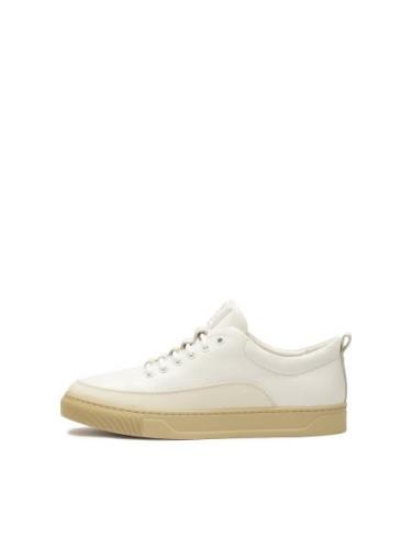 Kazar Sneaker low  offwhite