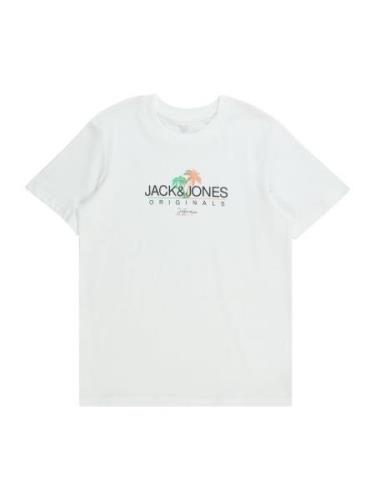 Jack & Jones Junior Shirts 'CASEY'  lime / laks / sort / hvid
