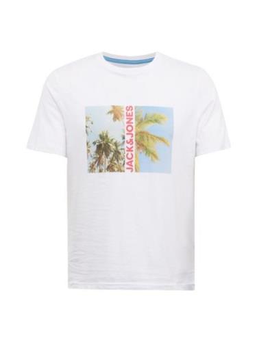 JACK & JONES Bluser & t-shirts 'Navin'  lyseblå / lysegrøn / rød / hvi...