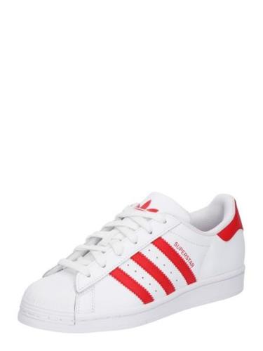 ADIDAS ORIGINALS Sneaker low 'SUPERSTAR'  rød / hvid