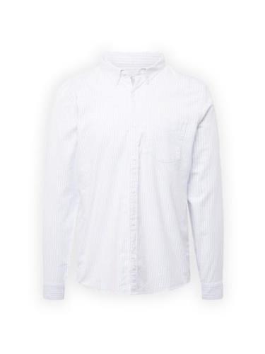 HOLLISTER Skjorte  pastelblå / hvid