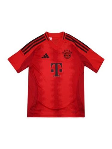 ADIDAS PERFORMANCE Funktionsskjorte 'FC Bayern München'  rød / sort