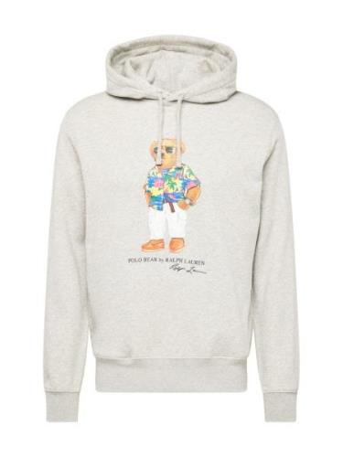 Polo Ralph Lauren Sweatshirt  karamel / lysegrå / sort / hvid