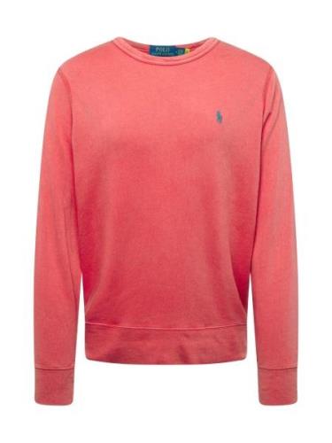 Polo Ralph Lauren Sweatshirt  blå / lys rød