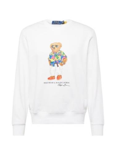 Polo Ralph Lauren Sweatshirt  blå / cappuccino / sort / hvid