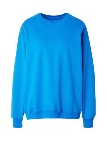 HOLLISTER Sweatshirt  royalblå