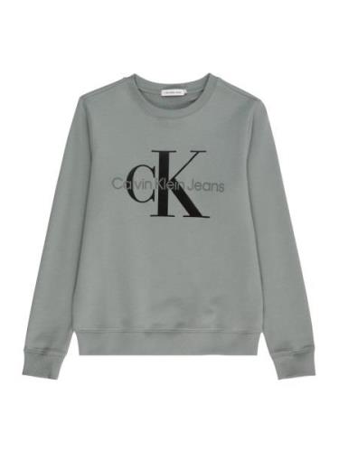 Calvin Klein Jeans Sweatshirt  siv / sort
