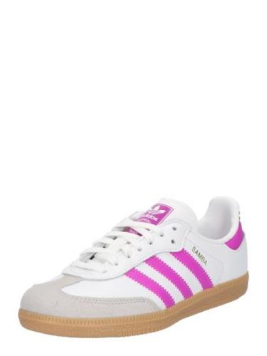 ADIDAS ORIGINALS Sneakers 'Samba'  grå / orkidee / hvid