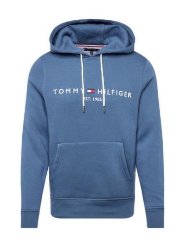 TOMMY HILFIGER Sweatshirt  opal / mørkeblå / rød / hvid