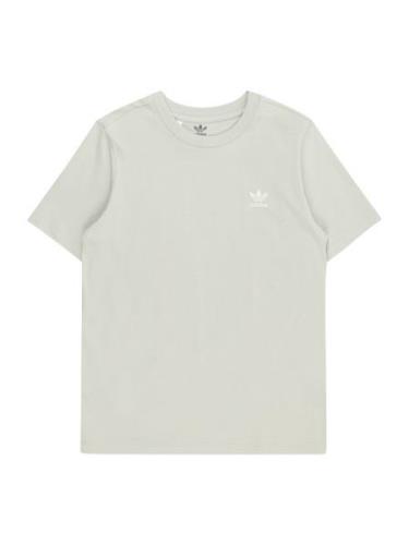 ADIDAS ORIGINALS Shirts 'Adicolor'  grå / hvid