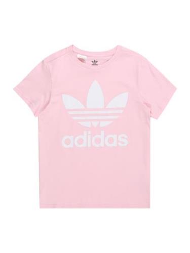ADIDAS ORIGINALS Shirts 'TREFOIL'  lyserød / hvid