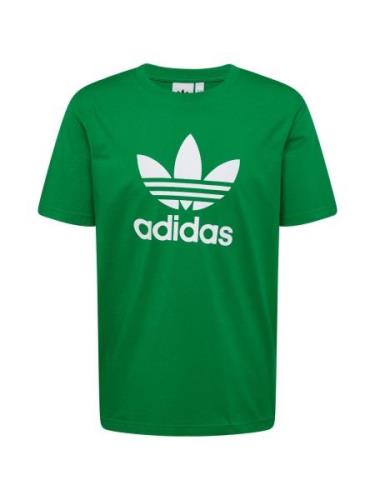 ADIDAS ORIGINALS Bluser & t-shirts 'Adicolor Trefoil'  grøn / hvid