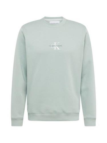 Calvin Klein Jeans Sweatshirt  stone / pastelgrøn / hvid