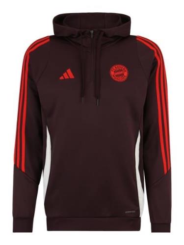 ADIDAS PERFORMANCE Sportsweatshirt 'FCB'  choko / sølvgrå / neonrød