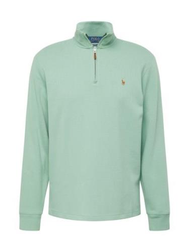 Polo Ralph Lauren Sweatshirt  lyseblå / brun / mint / lyserød