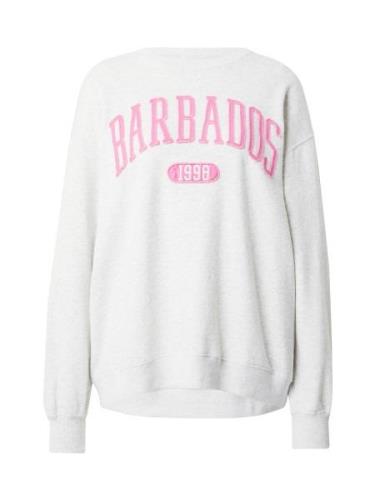 HOLLISTER Sweatshirt  grå-meleret / pink