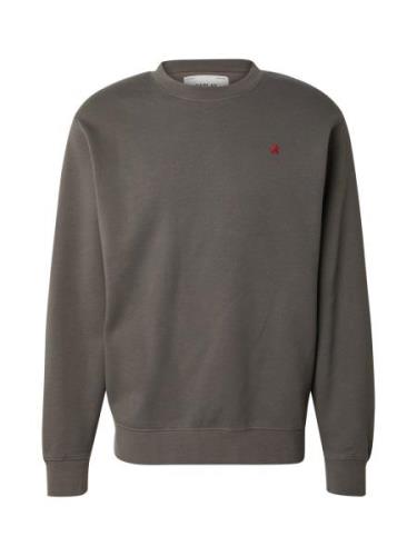 REPLAY Sweatshirt  mørkegrå / rød