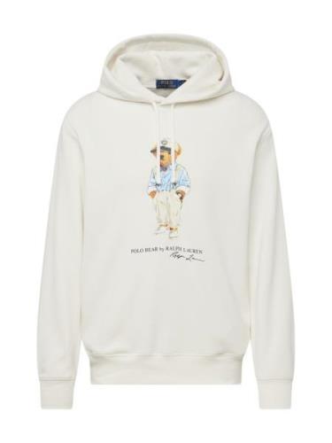 Polo Ralph Lauren Sweatshirt  marin / lyseblå / okker / hvid