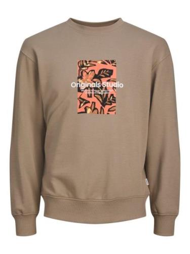 JACK & JONES Sweatshirt 'SEQUOIA'  taupe / orange / sort / hvid