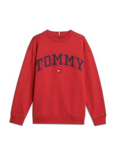 TOMMY HILFIGER Sweatshirt  blå / rød / hvid