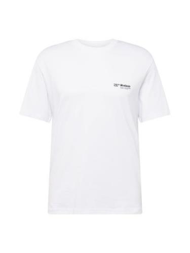 JACK & JONES Bluser & t-shirts 'JORSEQUOIA'  lysegul / laks / sort / h...